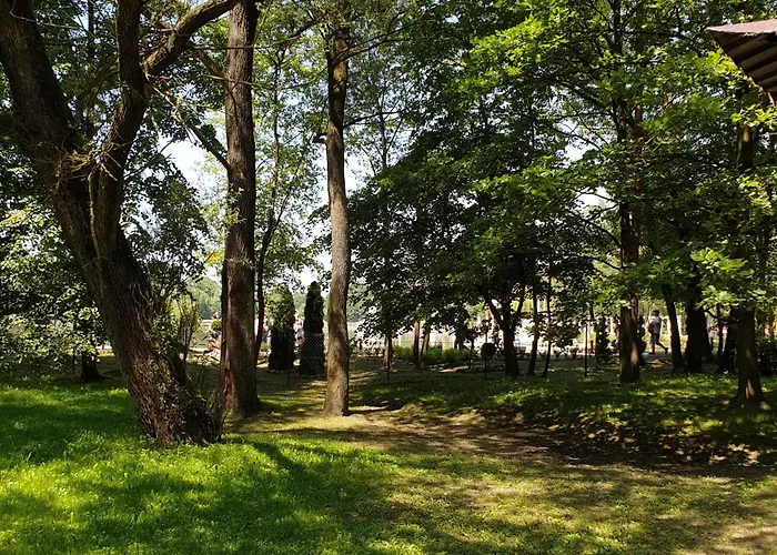 I Pole Namiotowe River Park Zator